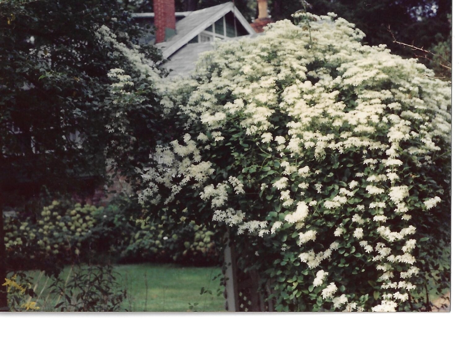 Historic Shady Lane Distillery House and Gardens circa 1997