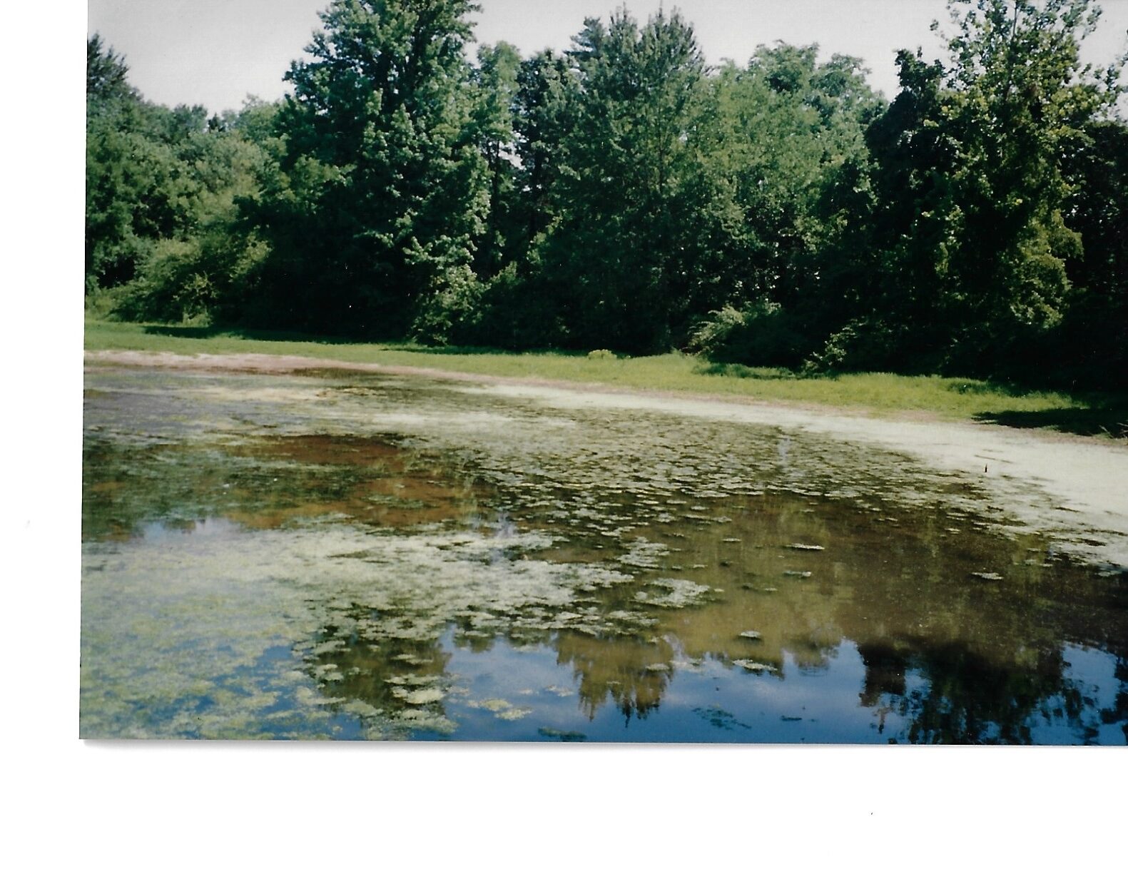 Oerwood Pond circa 1997 at Historic Shady Lane